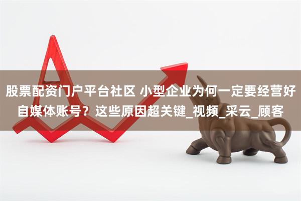 股票配资门户平台社区 小型企业为何一定要经营好自媒体账号？这些原因超关键_视频_采云_顾客